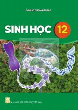 Sách giáo khoa Sinh học 12 - Kết nối tri thức 2026-2027